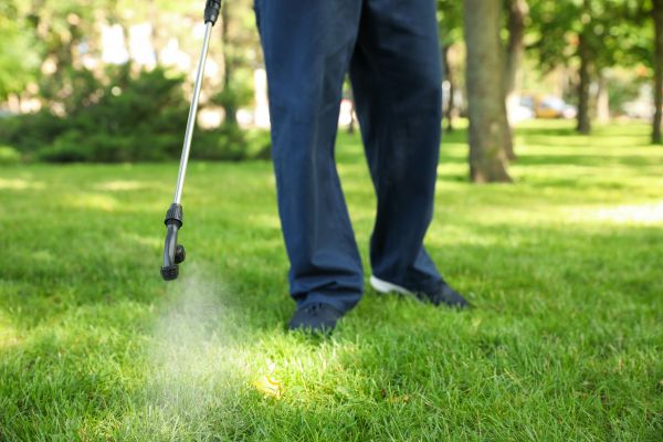 Mesa Lawn Treatment