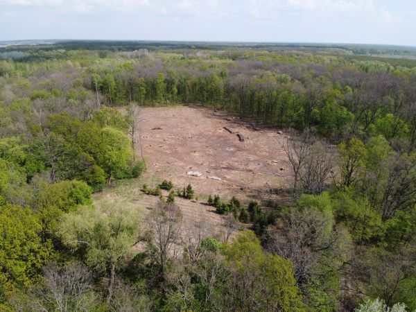 Mesa Land Clearing