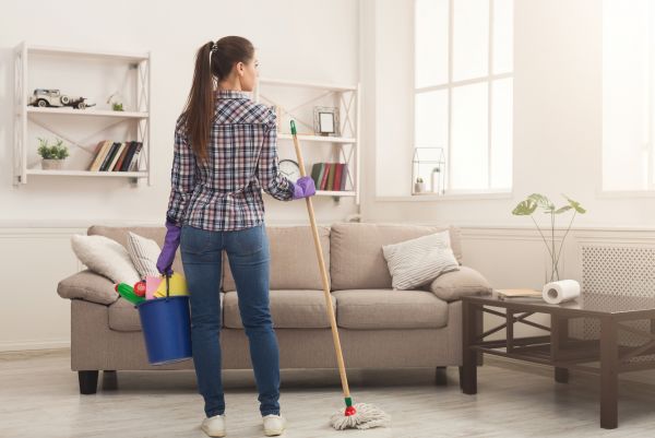 Mesa Interior Cleaning